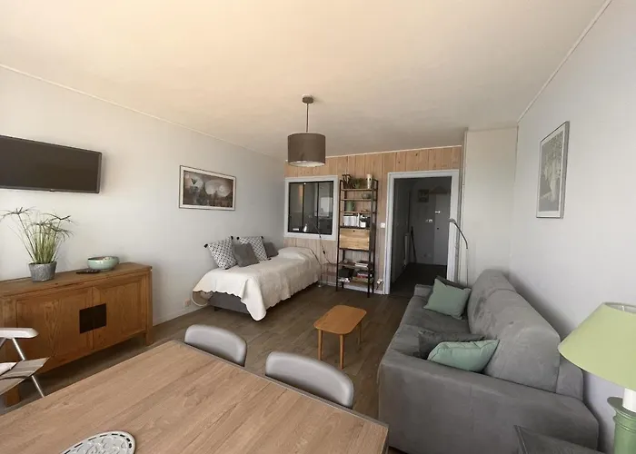 2* Avec Balcon Face A La Mer, Ascenseur, Proche Et Commerces, 2 Pers. - Fr-1-197-387