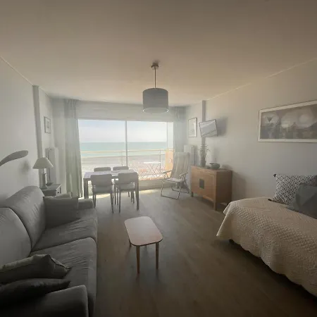 Apartment 2* Avec Balcon Face A La Mer, Ascenseur, Proche Et Commerces, 2 Pers. - Fr-1-197-387